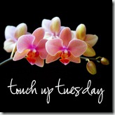 touch up tuesday