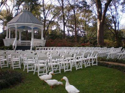  to share with you wedding recap pics of how we decorated the gazebo