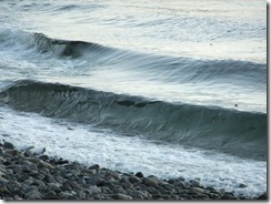 DSCF7994