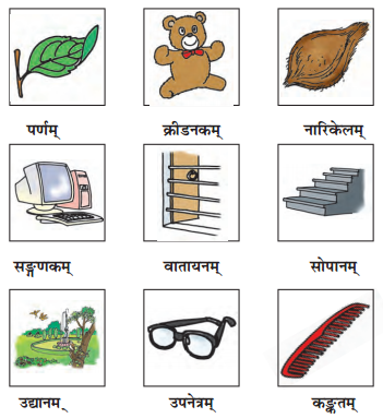 Solutions Class 6 संस्कृत Chapter-3 (शब्द परिचयः 3)