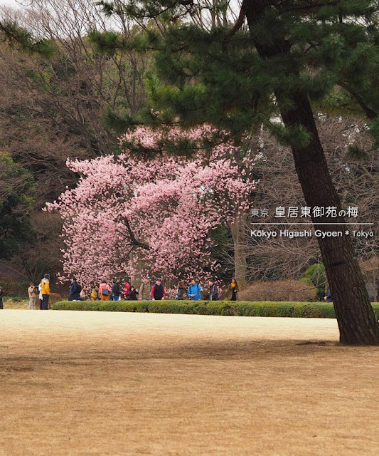 皇居東御苑の