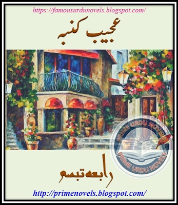 Ajeeb kumba novel pdf by Rabia Tabassum Episode 2