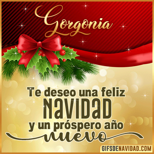 Feliz Navidad Gorgonia Feliz Navidad Gorgonia