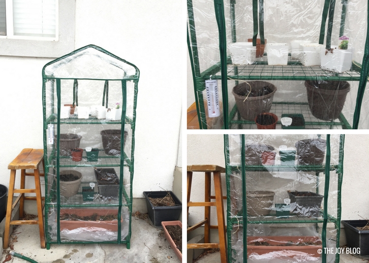 Mini plastic greenhouse with shelves | The Ongoing Mini Greenhouse Experiment // WWW.THEJOYBLOG.NET