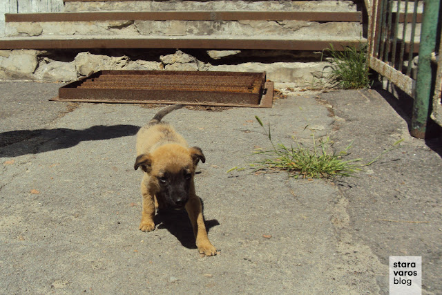 Radioactive solitude: Inside the Exclusion Zone, Chernobyl & Pripyat