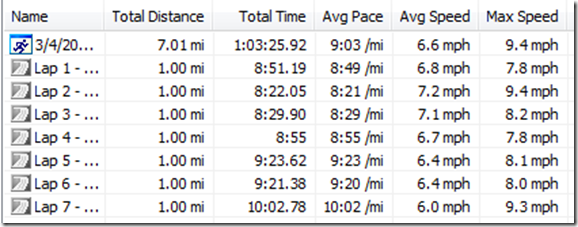 2011-03-04_1232garmin