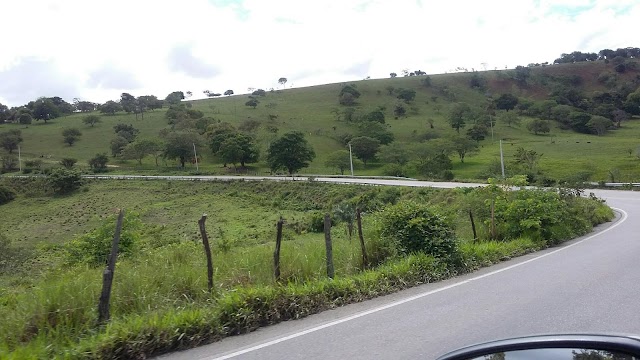 MOTOQUEIRO SOBRA NA CURVA DAS TABOCAS E SAI GRAVEMENTE FERIDO