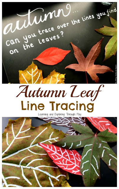 Autumn Leaf Lines with Chalk