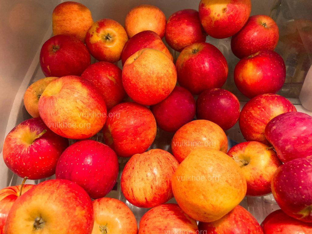 Here we will be discussing various healthy eating tips for people on a budget