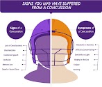 Concussion In Sports