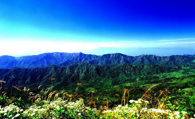 doi phahom pok national park, doi pha hom pok national park, doi phahom pok, doi pha hom pok, phahom pok national park, pha hom pok national park