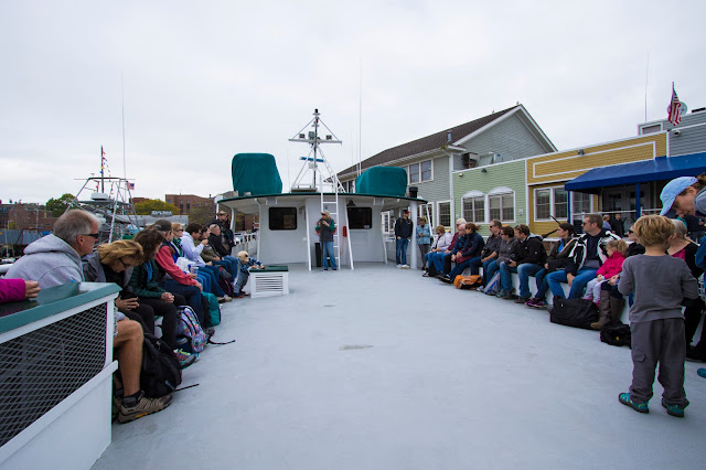 Gloucester-Whale watching