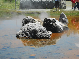 calistoga geyser