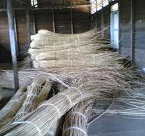 merupakan salah satu hasil hutan non kayu yang banyak dihasilkan oleh Indonesia Simak Tentang Rotan !!!