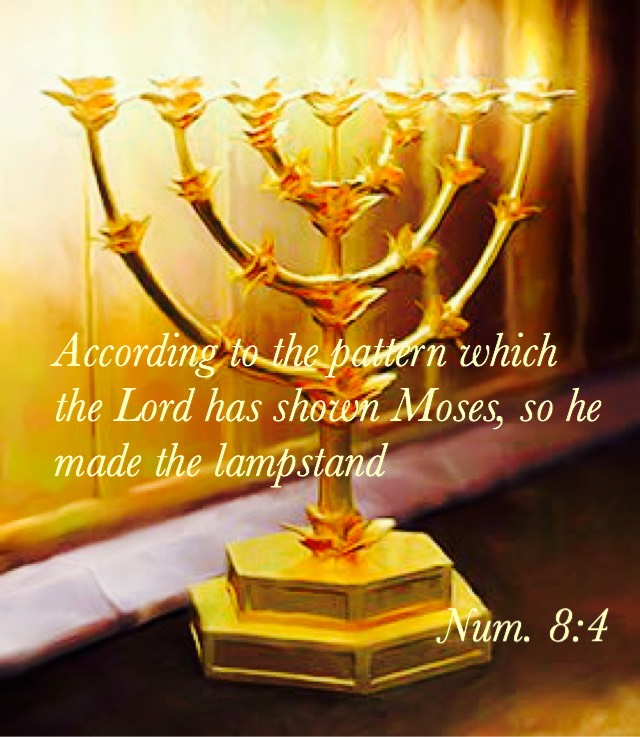 Women in the Word: The Seven Lamps {Num. 8:1-10:36}