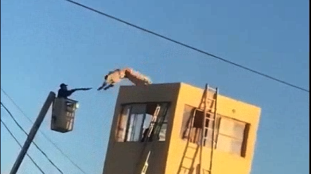 Video: Reo escapa, sube a una torre y se avienta a vacío desde una torre de vigilancia en Sonora