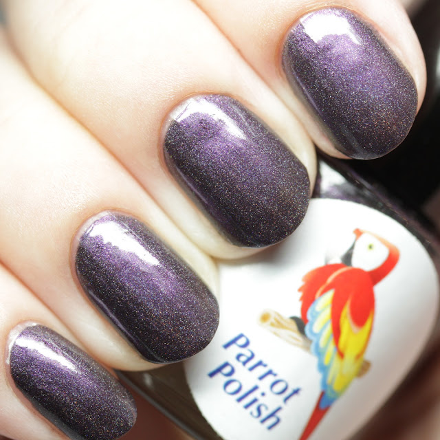 Parrot Polish Magneto