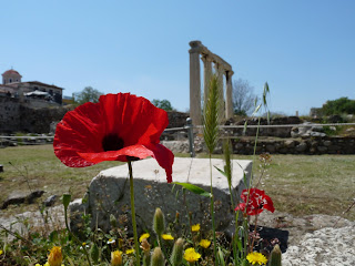 Atene, i resti dell'Agorà a primavera - Foto di Elisa Chisana Hoshi