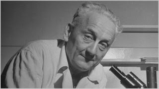 albert szent-gyorgyi