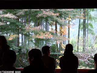 People who appreciating a garden at Ohara Hosen-in, Kyoto