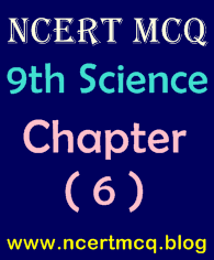 Science MCQ, Class 9th, Chapter-6, Tissues