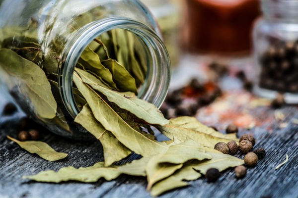 Jamu Menjadi Gaya Hidup Sehat Kaum Milenial
