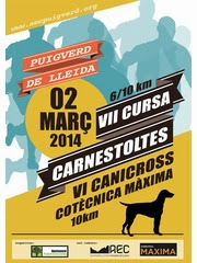 Cartell de la cursa i canicross