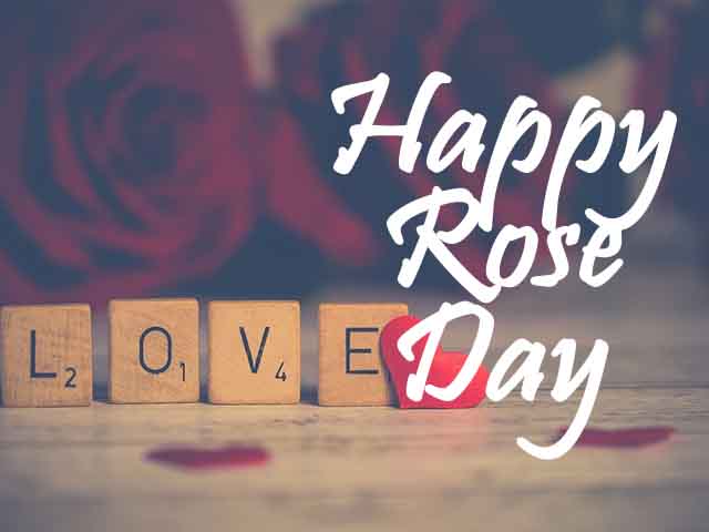 Happy Rose Day 2022 Images, Wallpapers, Pics & Photos