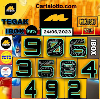 Carta lotto VIP