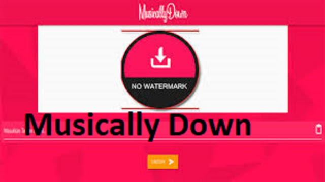  merupakan aplikasi unduh video dari TikTok tanpa watermark yang bisa digunakan secara gra Musicallydown.com Terbaru