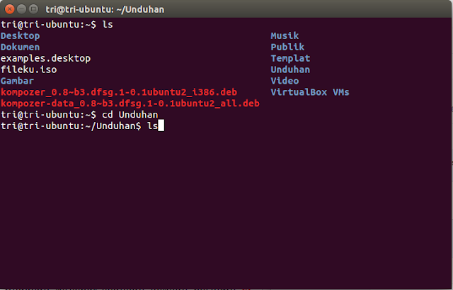 cara lihat isi direktori Unduhan di ubuntu