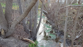 a view of the brook from Wachusetts St