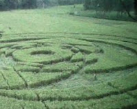 VIDEO CARA MEMBUAT CROP CIRCLE