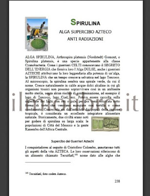 La Spirulina alga supercibo Azteco anti radiazioni