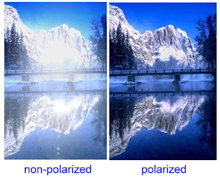 What is a polarized sunglass lens