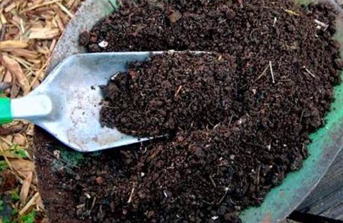 Cara Mudah Membuat Pupuk Kompos Dari Sampah Hasbi Htc