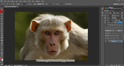 cara ngeblur muka di Photoshop