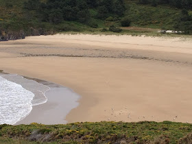 photos by E.V.Pita (2013) / stunning wild cost from Cape Ortegal to Estaca de Bares (Galicia, Spain)