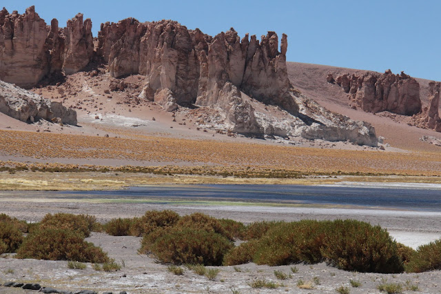 Blog Apaixonados por Viagens - Salar de Tara - Atacama - Chile