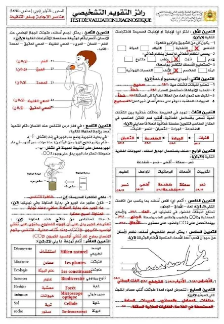 نموذج تقرير حول التقويم التشخيصي للثانوي الإعدادي مع جذاذة التقويم التشخيصي ورائز تشخيصي