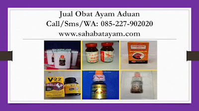 Obat Ayam Jago Kena Korep, Obat Ayam Jago Korep, Obat Ayam Jago Kurang Nafsu Makan, Obat Ayam Jago Lemas, Obat Ayam Jago Mata Berair