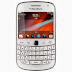 Harga HandPhone Blackberry Dakota 9900 - 8 GB - Putih