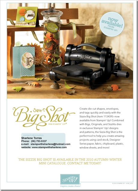 Big Shot flyer 2010