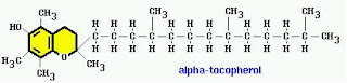 Molecular Structure of Alpha-Tocopherol