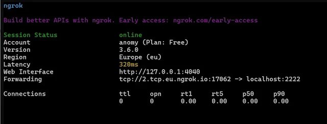 secure tunnel for TCP traffic ngrok