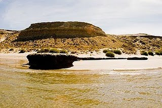 Beaches of Puerto Pirámides: Piedra guacha