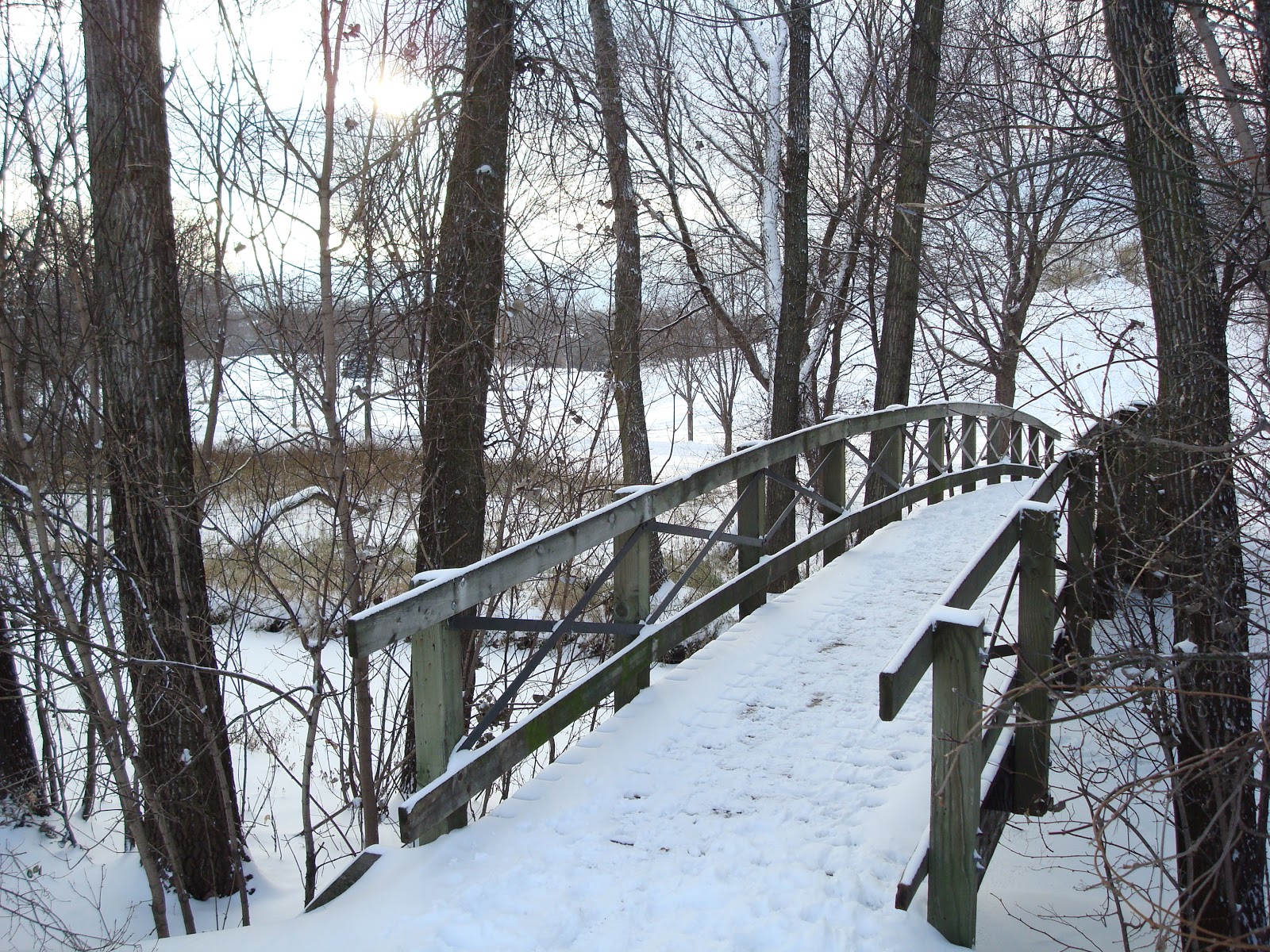 wallpapernarium: Bello puente del bosque cubierto de nieve