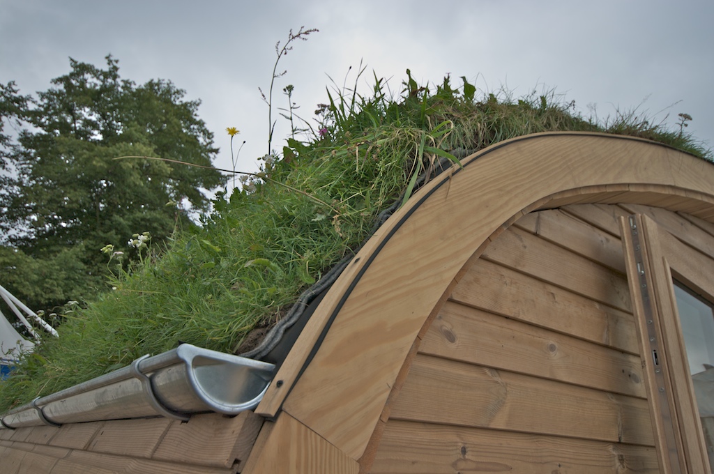 cheap shed roof ideas