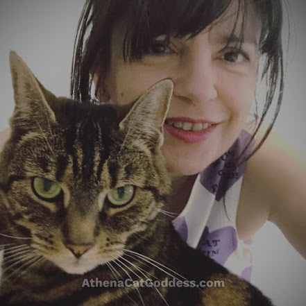 tabby cat and human mum