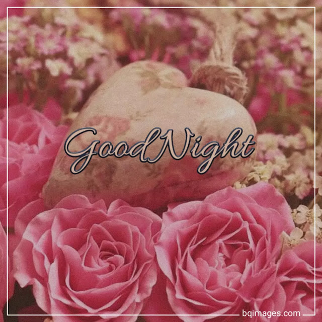 good night flowers images free download